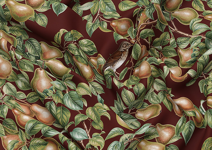 Pears, Russet - Roman Blind - Image 4